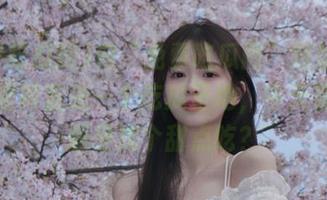 向“免费吃瓜网”网址致敬！那里简直是一个吃瓜圣地，今天要不要顺便找个甜点吃？