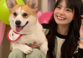 视频里的黑料不打烊，竟然指向了一个神秘的GitHub入口，胆子够大的来啊！