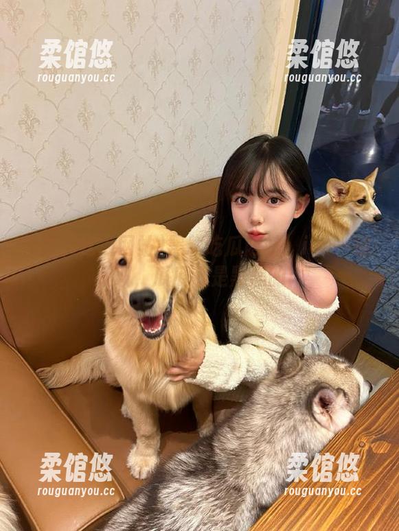 黑料吃瓜网站：ios一键获取，瓜瓜都是黑黑的！