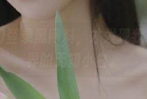 登录黑网料，才发现我才是这瓜界的无知小白。